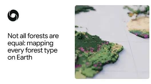 Google-wereldkaart ziet verschil tussen oerbos en plantage