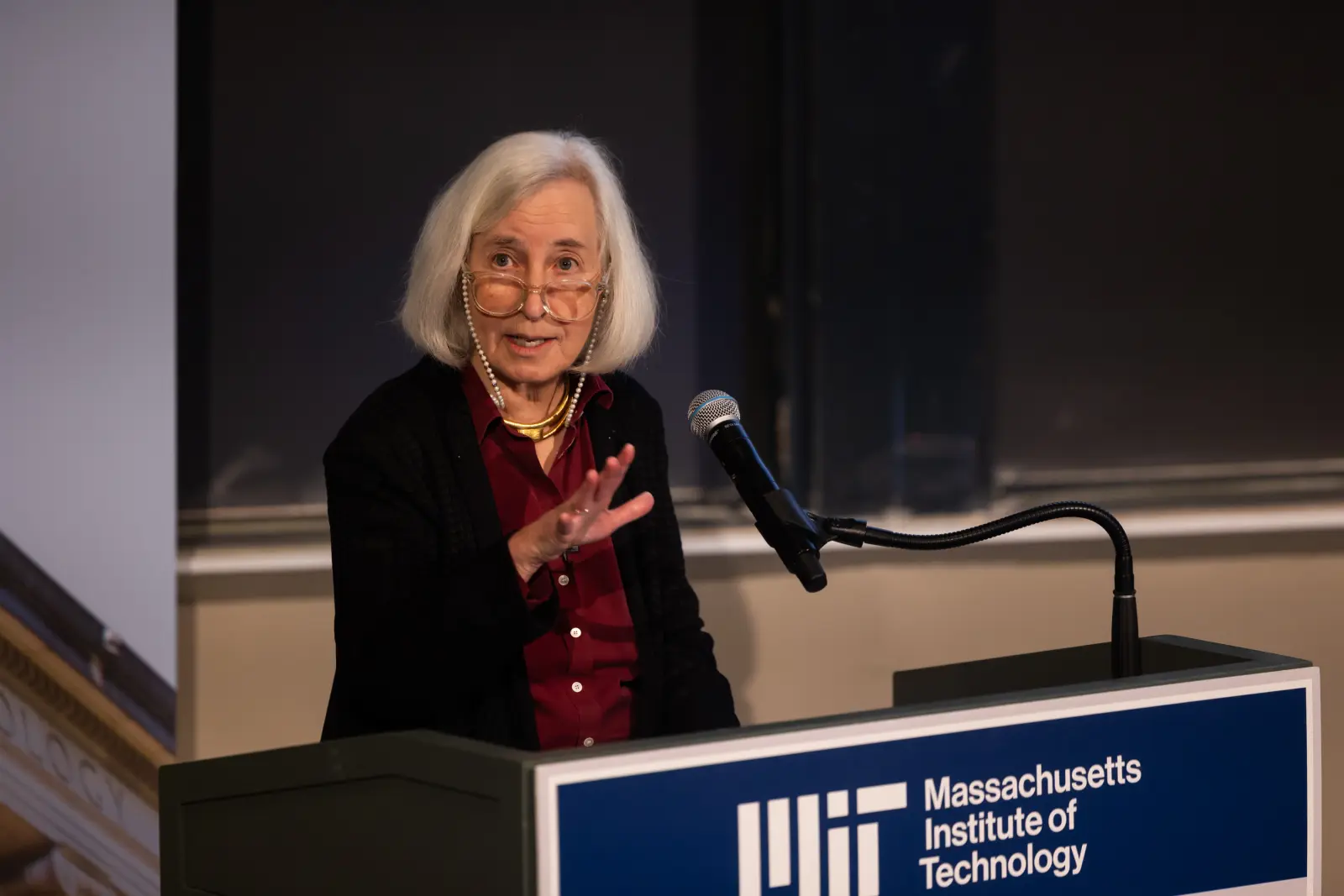 Martha Minow: AI ondermijnt democratie, maar kan haar ook helpen